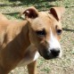 Con 4 meses recién cumplidos